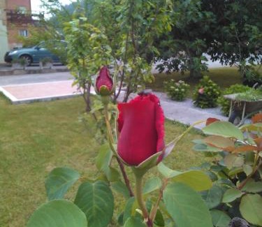 Castaneda House | Las Higueras -casa con jardín-