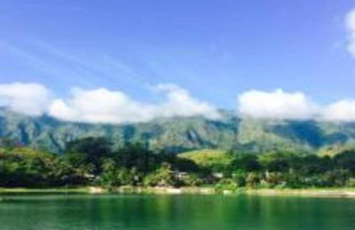 Tuk Tuk House | Laster Jony's