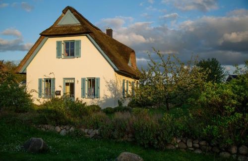 Insel Poel House | Lavendel