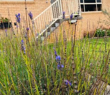 Blackmans Bay House | Lavender Cove