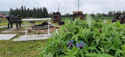 gmina Besko House | Lawendowy Dom