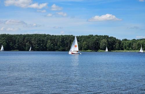 Beczkow Apartment | Leśny Apartament nad Zalewem VIP EDITION