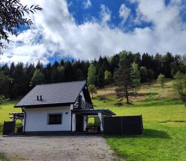 Muszyna House | Leśny Zaułek