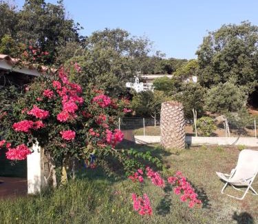 Terravecchia-Portoquadro House | Le agavi