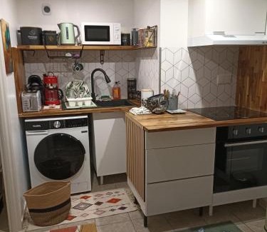 Saint-Maurice-de-Beynost Apartment | Le Cosy chic