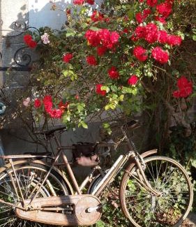 La Roche-Derrien Bed & Breakfast | Le Derrien