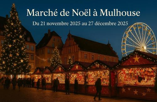 Mulhouse Apartment | Le Moonhomepoly, proche centre ville et gare
