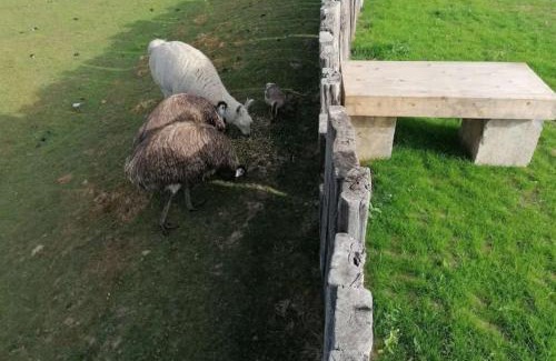 Haut-Bois Other | Le tipi d'Adri