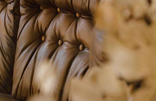 Volta Mantovana Other | Le Vigne di Adamo