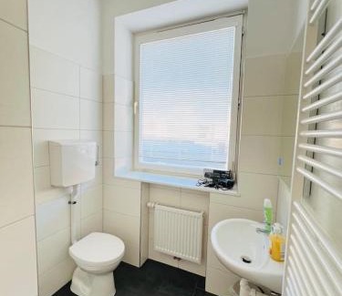 Leitendorf Apartment | Leoben Top 6