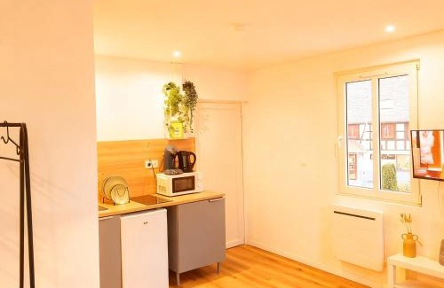 Eckbolsheim Apartment | les studios du canal