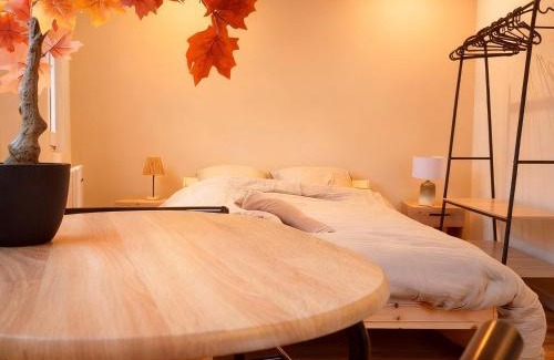Eckbolsheim Apartment | les studios du canal