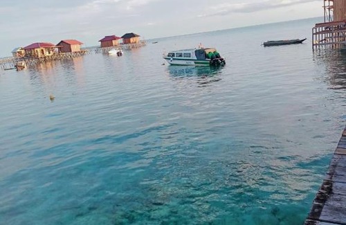 Pulau Derawan House | Lestari Cottage Derawan