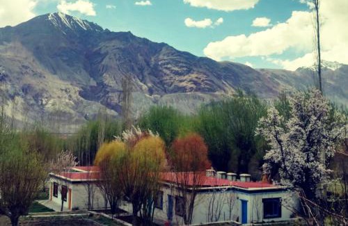Ambad Hotel | Lharimo North Cottages - Nubra Valley