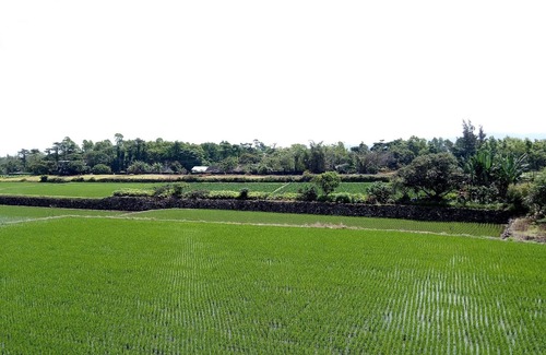 Ji'an Bed & Breakfast | Lian Yuan B&B