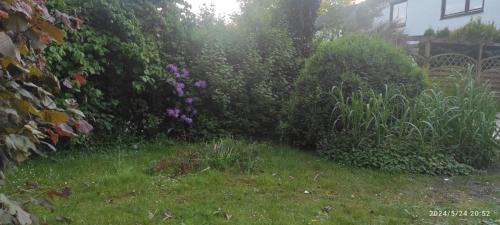 Weding Apartment | Lilli Flensburg Fewo