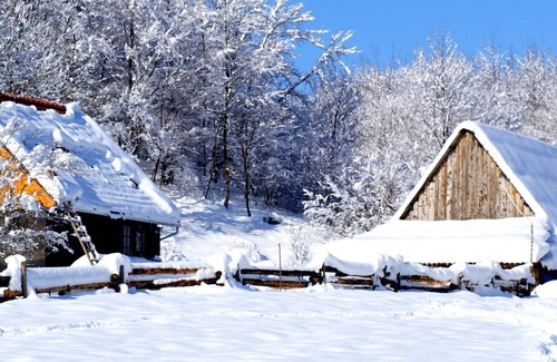 Velika Plana Apartment | Linden Tree Retreat & Ranch