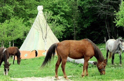Velika Plana Cottage | Linden Tree Retreat & Ranch