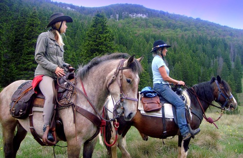 Velika Plana Apartment | Linden Tree Retreat & Ranch