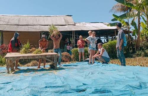 Tetebatu House | Lingkung Park Tetebatu