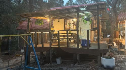 Arteaga Cabin | Lion king cabin woods