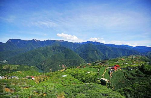 Xinyi House | Lishan Landscape B&B