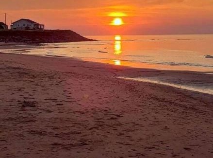 Savage Harbour House | Little Haven Cottage an ocean view 2 bedroom cottage in Savage Harbour