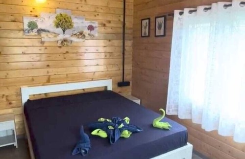 Shirwal Ski Chalet | Little Swiss By the Lake