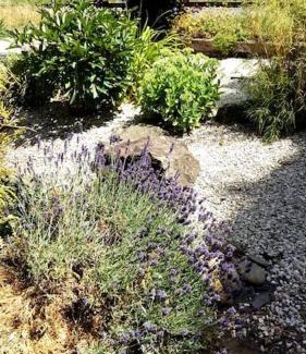 Halver Apartment | LIVING . Bungalow mit großem Garten .