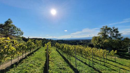 St Andra-Hoech Ski Chalet | Living & Relax Resorts