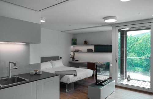 Stabio Apartment | Lo Scudo di Stabio - 35 m² Street View | Brief Stay 4-6 Nights