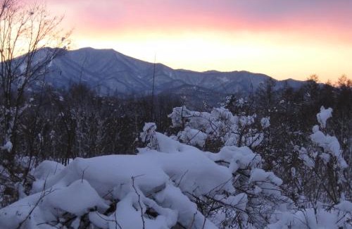 Myoko Cabin | Lodge Amenouo