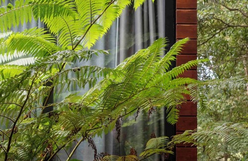 Biscoitos Cabin | (Lodge Vista Floresta)