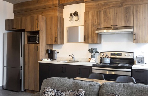 Rimouski-Neigette Apartment | Loft 307 | Rooftop | Downtown