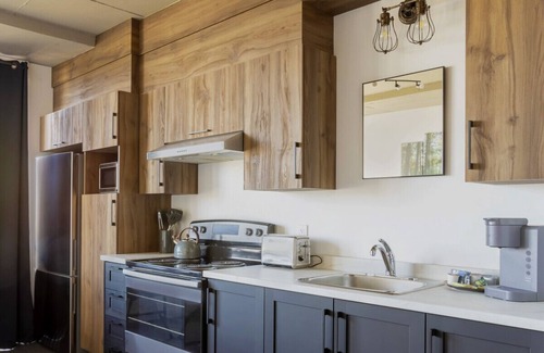 Rimouski-Neigette Apartment | Loft 310 | Rooftop | Downtown