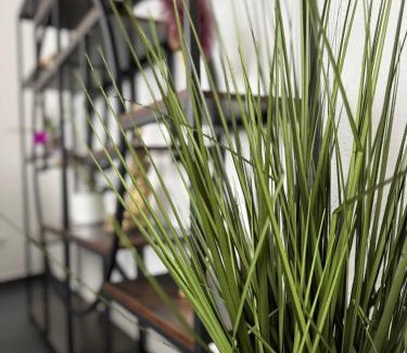 Edigheim House | LOFT Style Ferienhaus