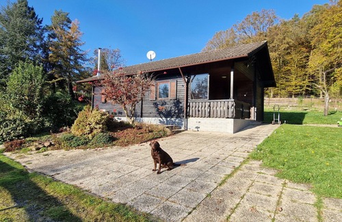 Erbach House | Log cabin on the edge of the forest