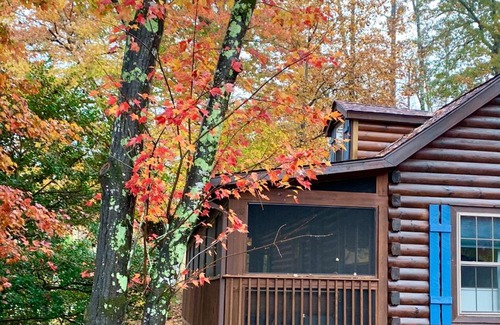 Lake Lure House | Log Cabin Walkable to Lake Lure & Chimney Rock - Blue Skies