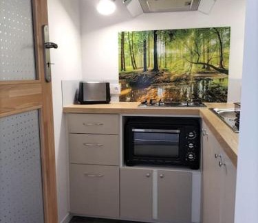 Mazieres-en-Gatine Apartment | Logement entier