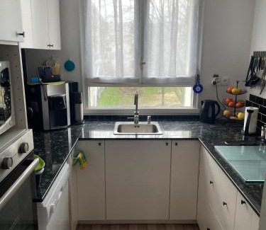 Bas du Mont-Mesly Apartment | logement entier appartement T3