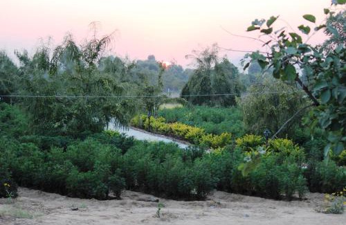 Village Hokra Resort | Lohana Village Resort