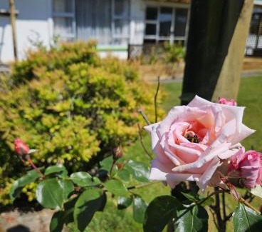 Hokitika House | Longford