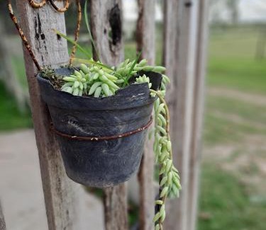 Villa Ramallo Hotel | Los Abu Dormis