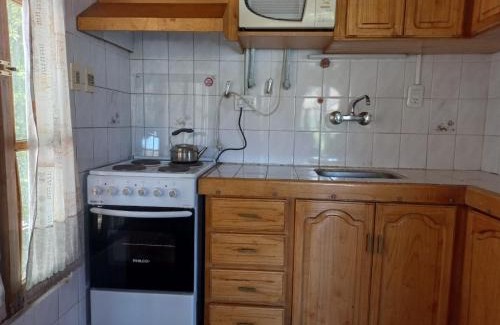 Rincon del Atuel Ski Chalet | Los Reyunos - Colorina