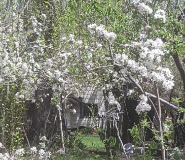 Loncopue Department Ski Chalet | Los Riscos Antigua Cabaña Toba