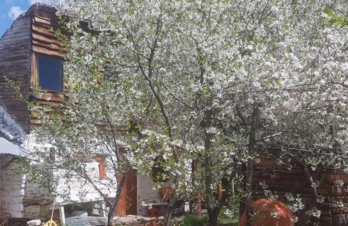 Loncopue Department Ski Chalet | Los Riscos Antigua Cabaña Toba