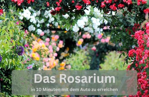 Oberdorla Apartment | Lounge94 - Luxus auf 140 m2