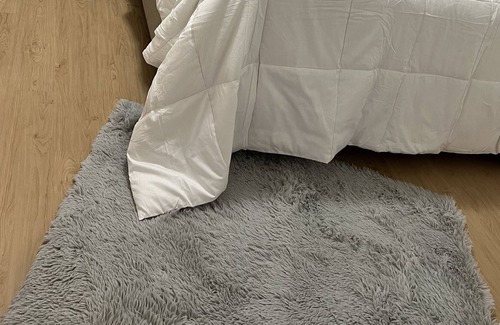 Fredericton Apartment | Lovely one-bedroom unit with free parking