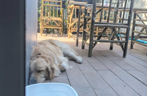 Bang Lamung Villa | lover house