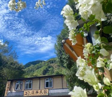 Wufeng House | Lu-Lin B&B